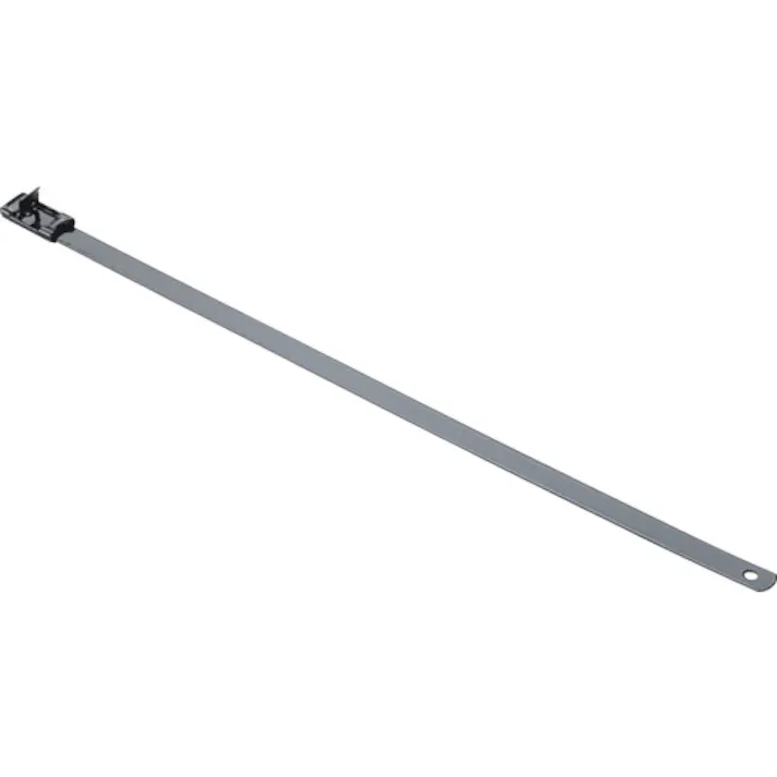 【CAINZ-DASH】パンドウイットコーポレーション MSナイロン11コーティングステンレススチールバンド 16.1×620 50本入 MSC6W63T15-L6【別送品】