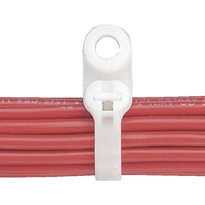 【CAINZ-DASH】パンドウイットコーポレーション ステンレス爪ロック式結束バンド ネジ止めタイプ 屋内用 4.7×216×1.3 1袋100本入 BC2S-S10-C【別送品】