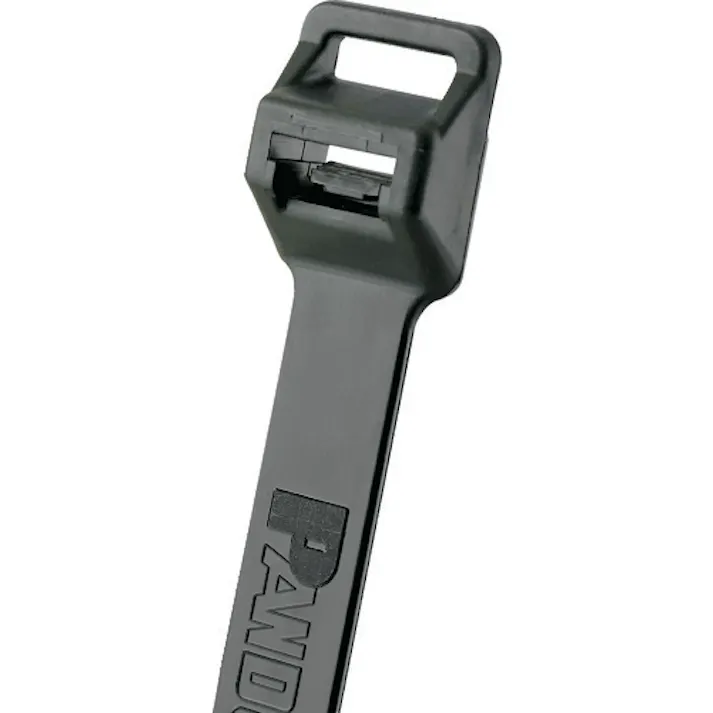 【CAINZ-DASH】パンドウイットコーポレーション ナイロン結束バンド 耐候性黒(100本入)幅12.7 厚さ1.9 PLT5EH-C0【別送品】