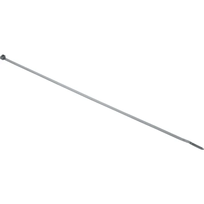 【CAINZ-DASH】パンドウイットコーポレーション ナイロン結束バンド 4.8×368×1.3 黒 100本入 PLT4S-C20【別送品】