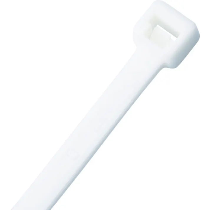 【CAINZ-DASH】パンドウイットコーポレーション ナイロン結束バンド 難燃性白 (1000本入) PLT2S-M69【別送品】