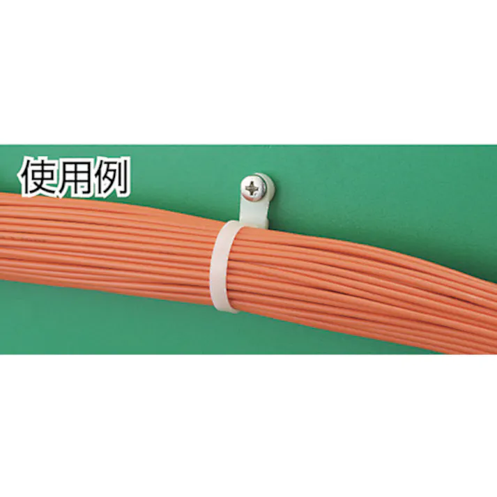 【CAINZ-DASH】パンドウイットコーポレーション ネジ止めタイプナイロン結束バンド ナチュラル (100本入) PLC2S-S10-C【別送品】