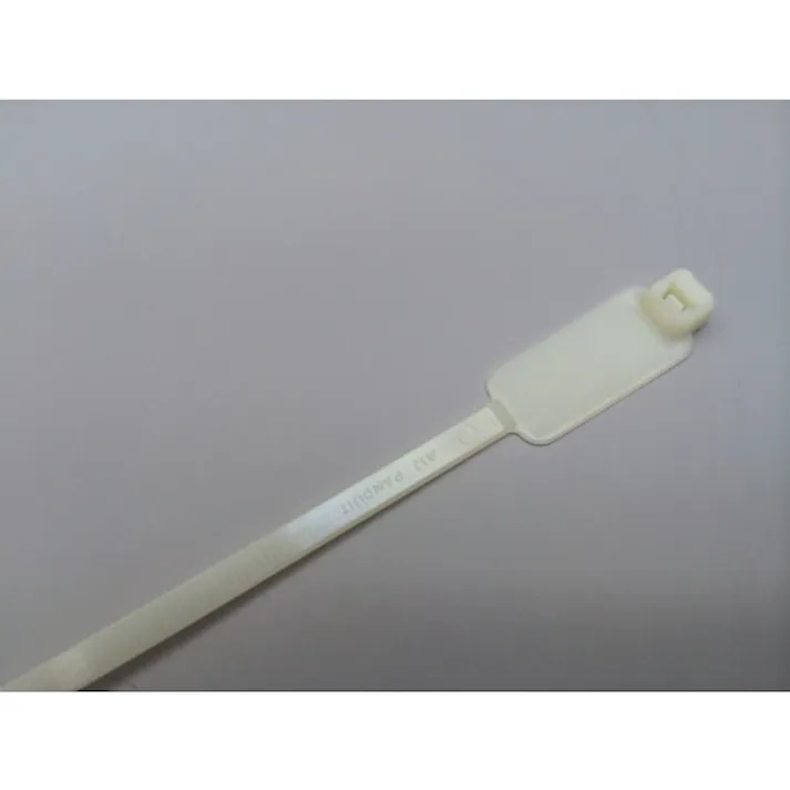 【CAINZ-DASH】パンドウイットコーポレーション 旗型タイプナイロン結束バンド ナチュラル (500本入) PLM2S-D【別送品】