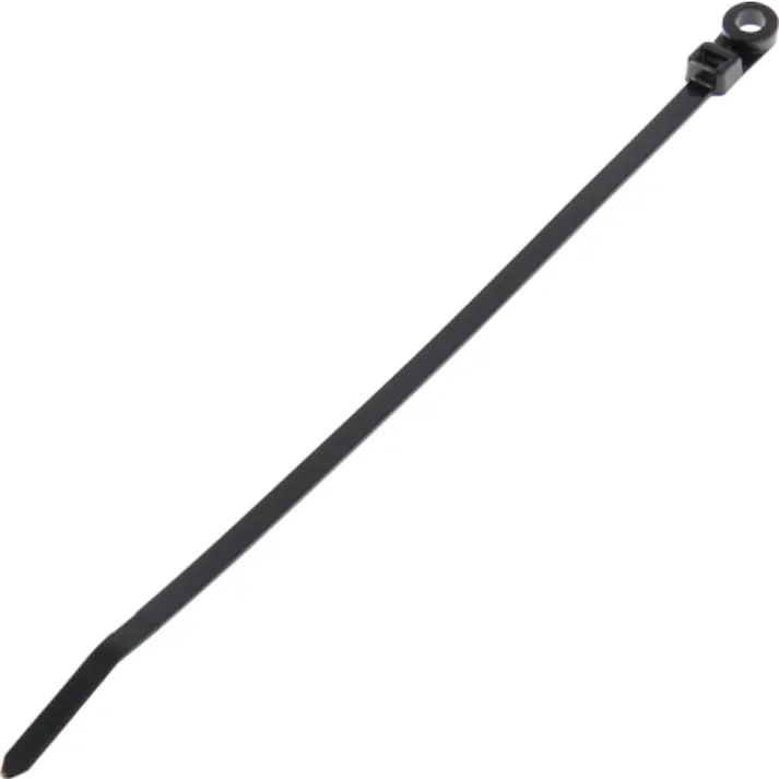 【CAINZ-DASH】パンドウイットコーポレーション ネジ止めタイプナイロン結束バンド 耐候性黒 (100本入) PLC4S-S10-C0【別送品】