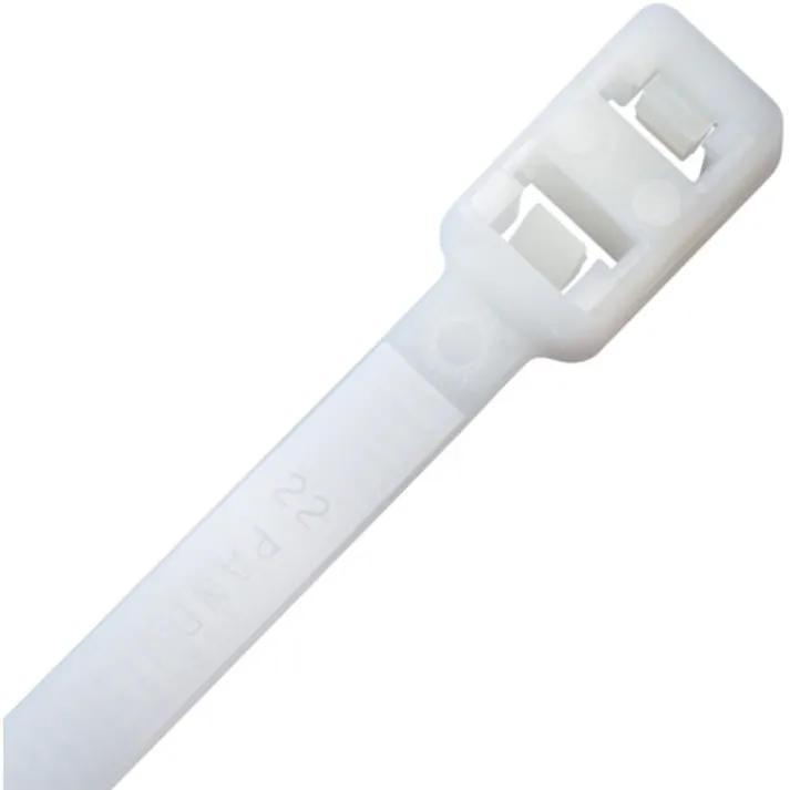 【CAINZ-DASH】パンドウイットコーポレーション ダブルループ結束バンド ナチュラル (100本入) PLB4S-C【別送品】