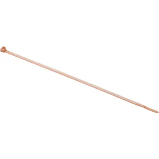 【CAINZ-DASH】パンドウイットコーポレーション ナイロン結束バンド 茶 (1000本入) PLT2I-M1【別送品】