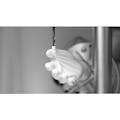 【CAINZ-DASH】アンセル・ヘルスケア・ジャパン ニトリル背抜手袋　ハイフレックス　１１－８１２　ＸＳサイズ 11-812-6【別送品】