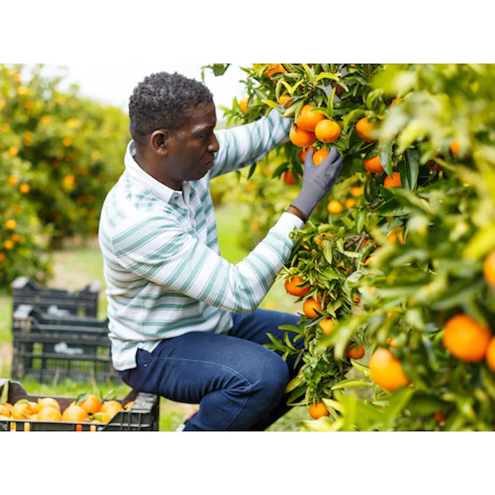 【CAINZ-DASH】アンセル・ヘルスケア・ジャパン ウレタン背抜手袋 エッジ 48-129 グレー XSサイズ 48-129-6【別送品】