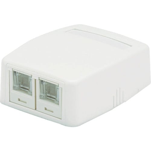 パンドウイットコーポレーション CAT6Aスプリングシャッター付きローゼットキット 2個口 白 JOQ2H6A00 JOQ2H6A00 ローゼットボックス パンドウイットコーポレーション CAT6Aスプリングシャッター付きローゼットキット 2個口 白 JOQ2H6A00 JOQ2H6A00 ローゼットボックス