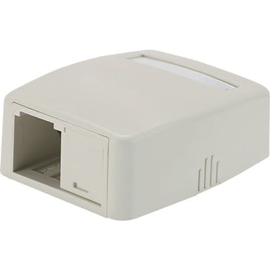 【CAINZ-DASH】パンドウイットコーポレーション ローゼットボックス　シャッターなし　２個口（１ローゼット＋１ブランク）　白　ＪＯＱ１Ｂ００００ JOQ1B0000【別送品】