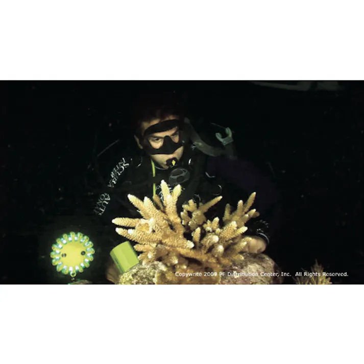 【CAINZ-DASH】パワーフレア社 電池式高耐久LED警告灯 パワーフレア 赤 PF210RY【別送品】