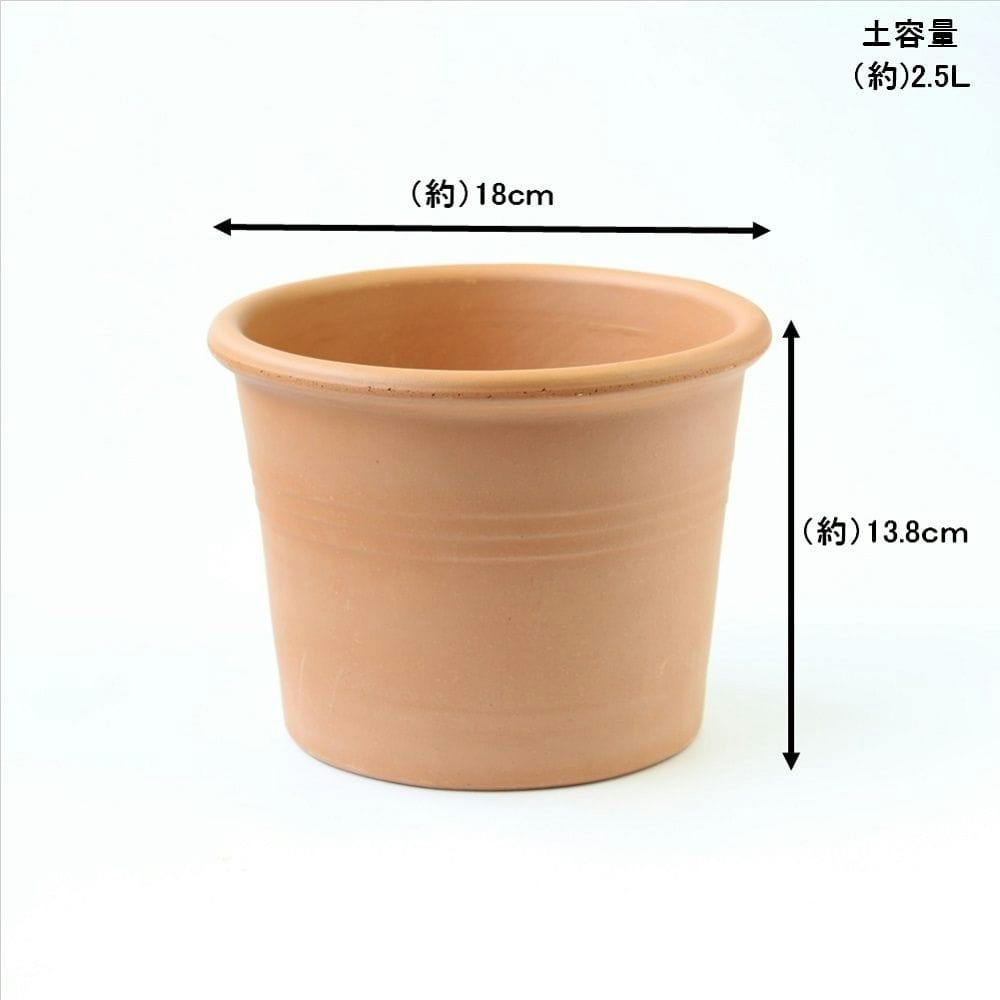 イタリー製寸胴型大型シリンダーポット34cmお買い得2ヶセット イタリー