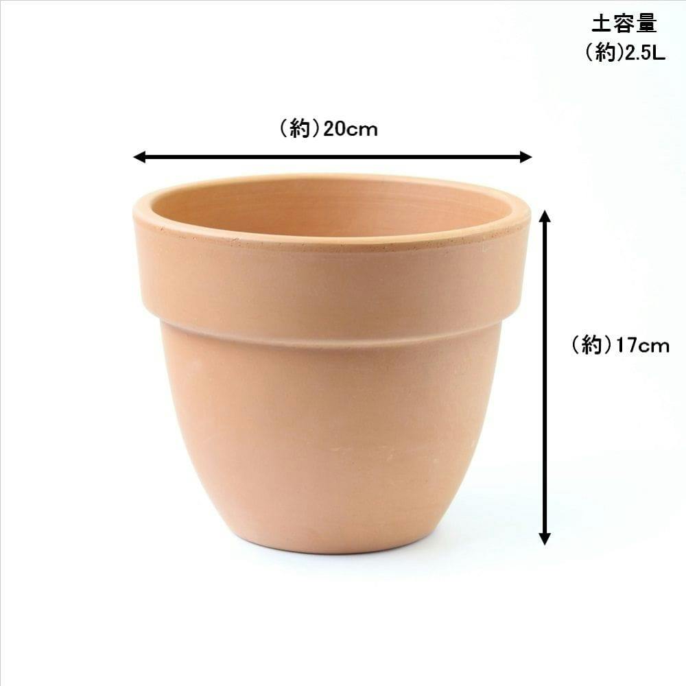 ヨーム　鉢 ガーデンガーデン / ガーデンノーム ポットを持っているノーム