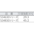 【CAINZ-DASH】ＢｌｕｅＷａｔｅｒ社 セイフライン　９．５φ×９１ｍ　緑／オレンジ 534630GROR【別送品】