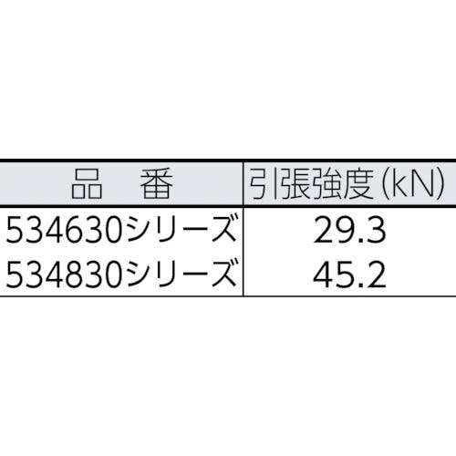 【CAINZ-DASH】ＢｌｕｅＷａｔｅｒ社 セイフライン　１２．７φ×９１ｍ　緑／オレンジ 534830GROR【別送品】