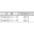 【CAINZ-DASH】ＢｌｕｅＷａｔｅｒ社 セイフライン　１２．７φ×９１ｍ　黒 534830BK【別送品】