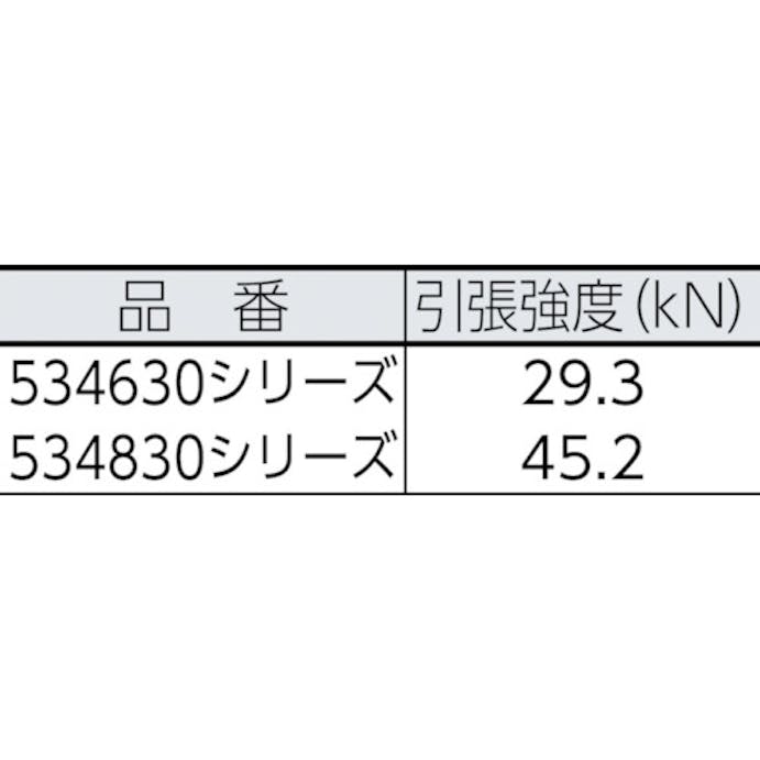 【CAINZ-DASH】ＢｌｕｅＷａｔｅｒ社 セイフライン　９．５φ×９１ｍ　青／黄 534630BLYE【別送品】