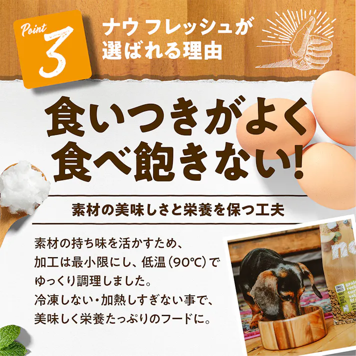 ナウフレッシュ アダルト 1.59kg