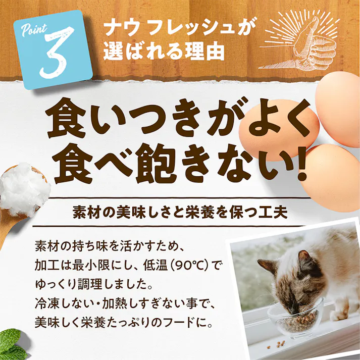 ナウフレッシュ Fアダルトキャット 1.36kg