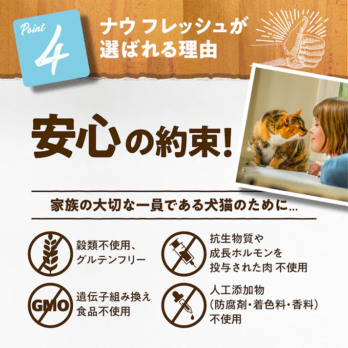 ナウフレッシュ Fアダルトキャット 1.36kg