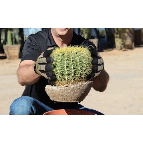 CAINZ-DASH】HexArmor社 耐切創・耐針手袋