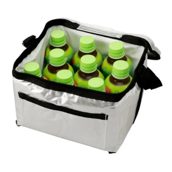 ユーザー アルミクーラー5L 幅22×奥18×高16cm シルバー 4979305077245【別送品】