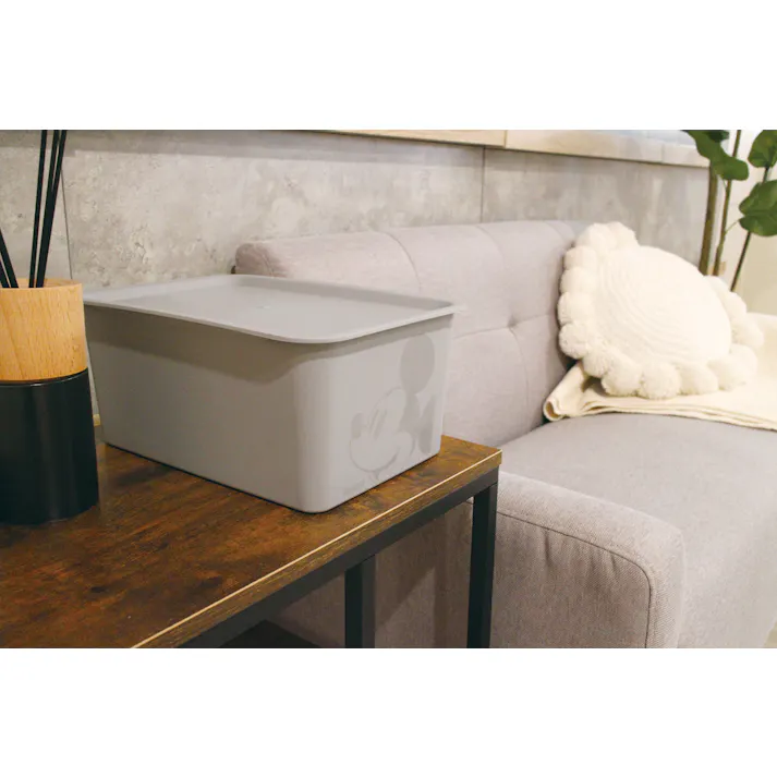 錦化成 錦化成 ミッキーマウス 蓋付き 収納ボックス ハーフ グレー 19×27×12cm ミッキーマウス スクエアBOXハーフ 幅19×奥27×高12cm グレー 4904121343397【別送品】