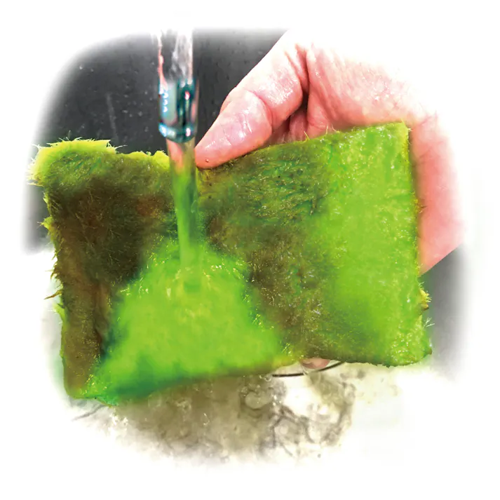 富士 魔法のスポンジ (幅)8.5(奥行)2(高さ)13cm 4944109311659【別送品】