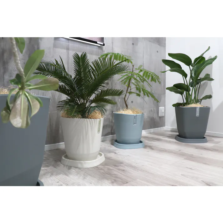 アップルウェアー プランツプレート360型 (幅)36(奥)36(高)4cm 4905980415621【別送品】