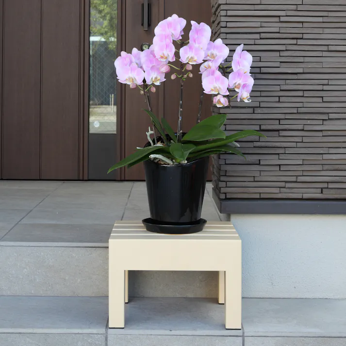 小原産業 プラスチック万能台正方形 (幅)30(奥)28(高)20cm 4952215024189【別送品】