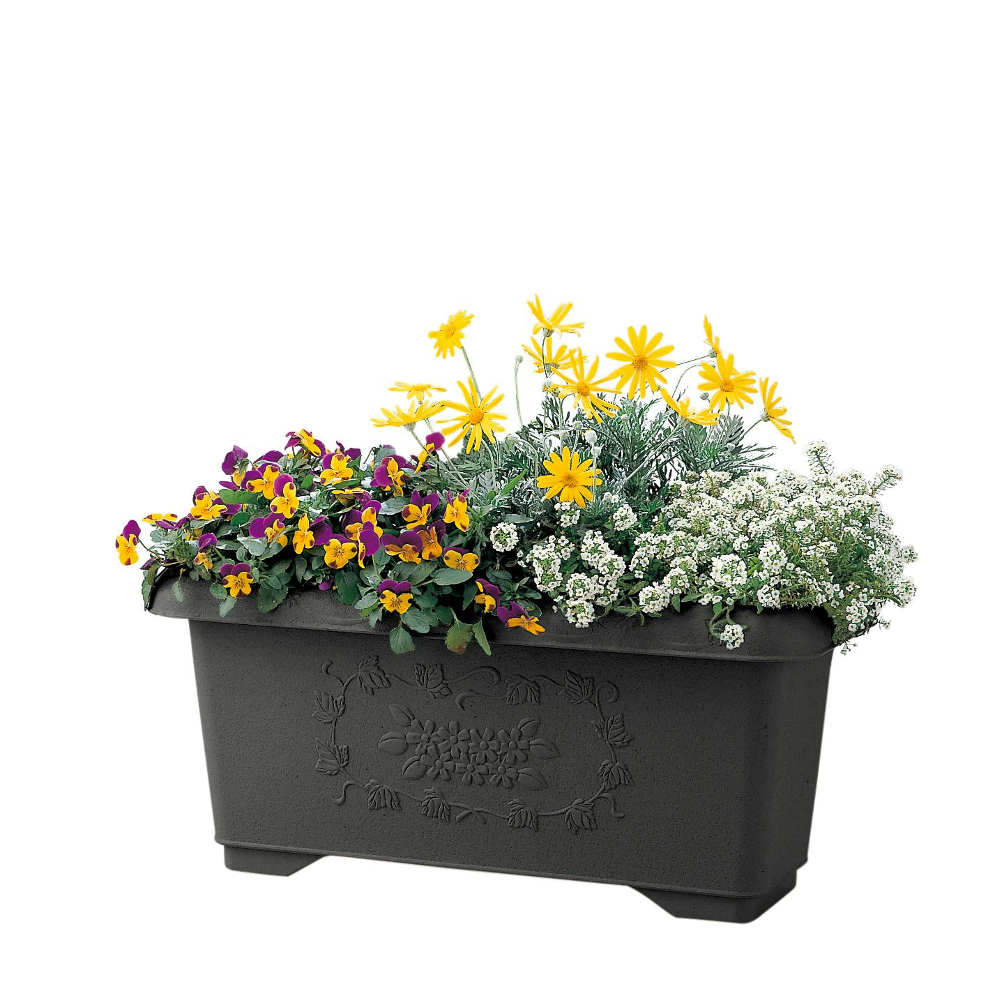 リッチェル ハナール深型プランター (幅)60(奥)26(高)27cm