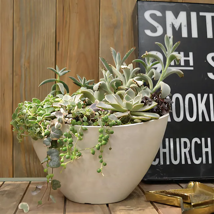 リッチェル ボタニーバルカボール20型 (幅)20(奥)14.8(高)12.3cm 4973655748022【別送品】