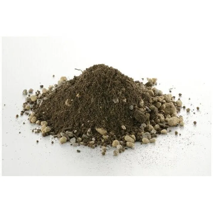 リッチェル クロレラの恵みRいちごの土 ブラウン 幅30×奥40×高5.5 培養土小袋 花と野菜 4945680700795【別送品】