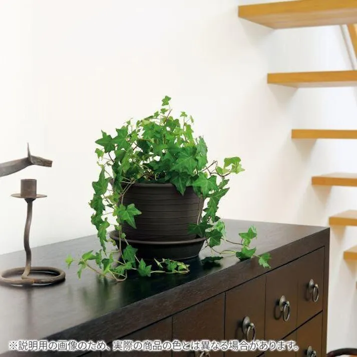 リッチェル エコルポット7号 ダークグレー 幅21×奥21×高15.5 プラ輪鉢 4945680702485【別送品】