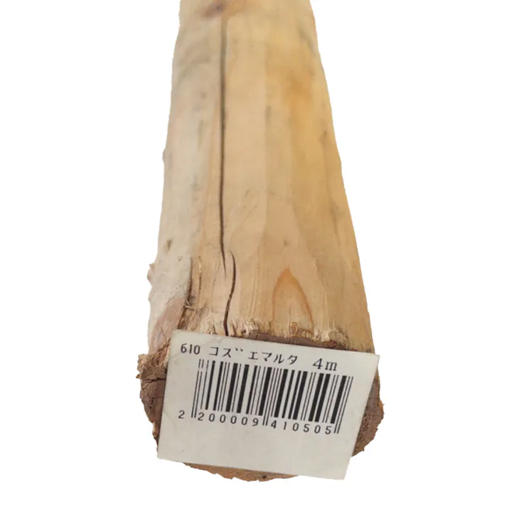 コズエ丸太 4m