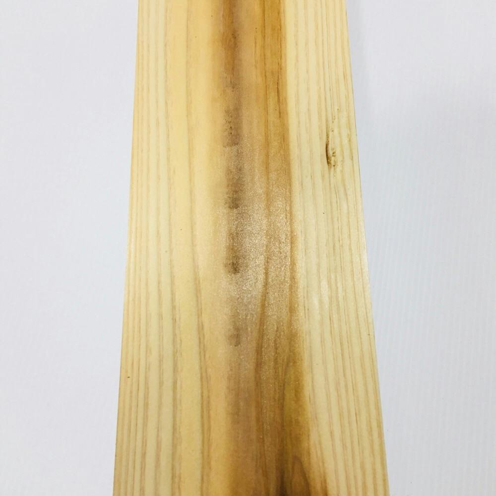 木材標本 3種【日本国産・外国産・熱帯産】 木材標本 3種【日本国産