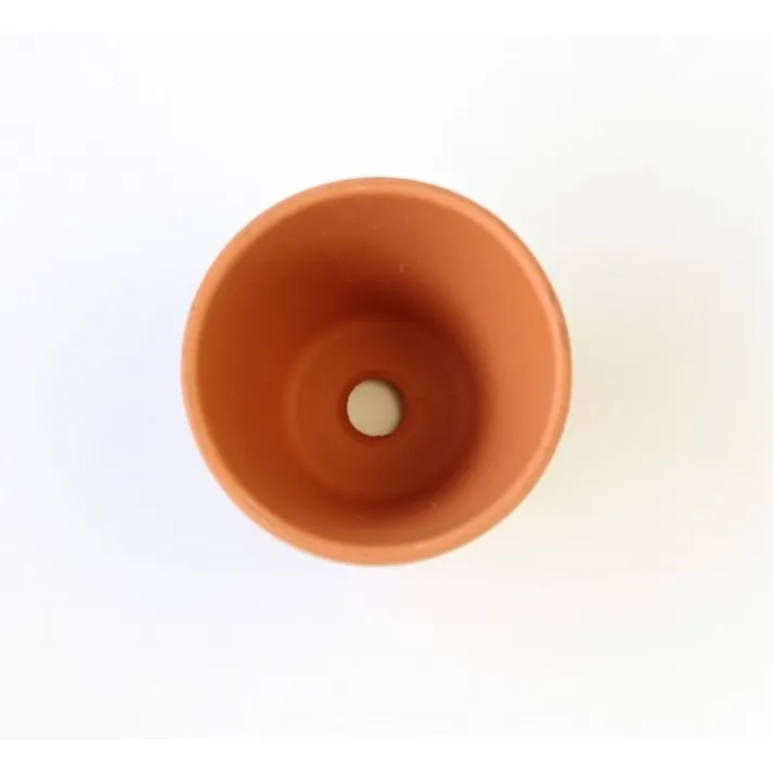 テラコッタ ミニモ 5cm