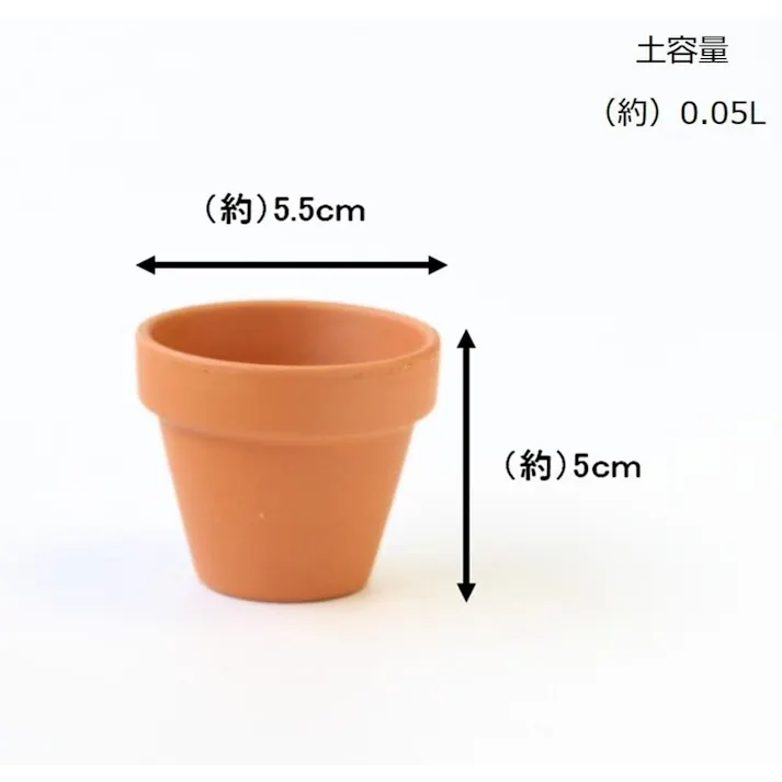 テラコッタ ミニモ 5cm