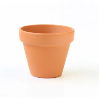 テラコッタ ミニモ 7cm