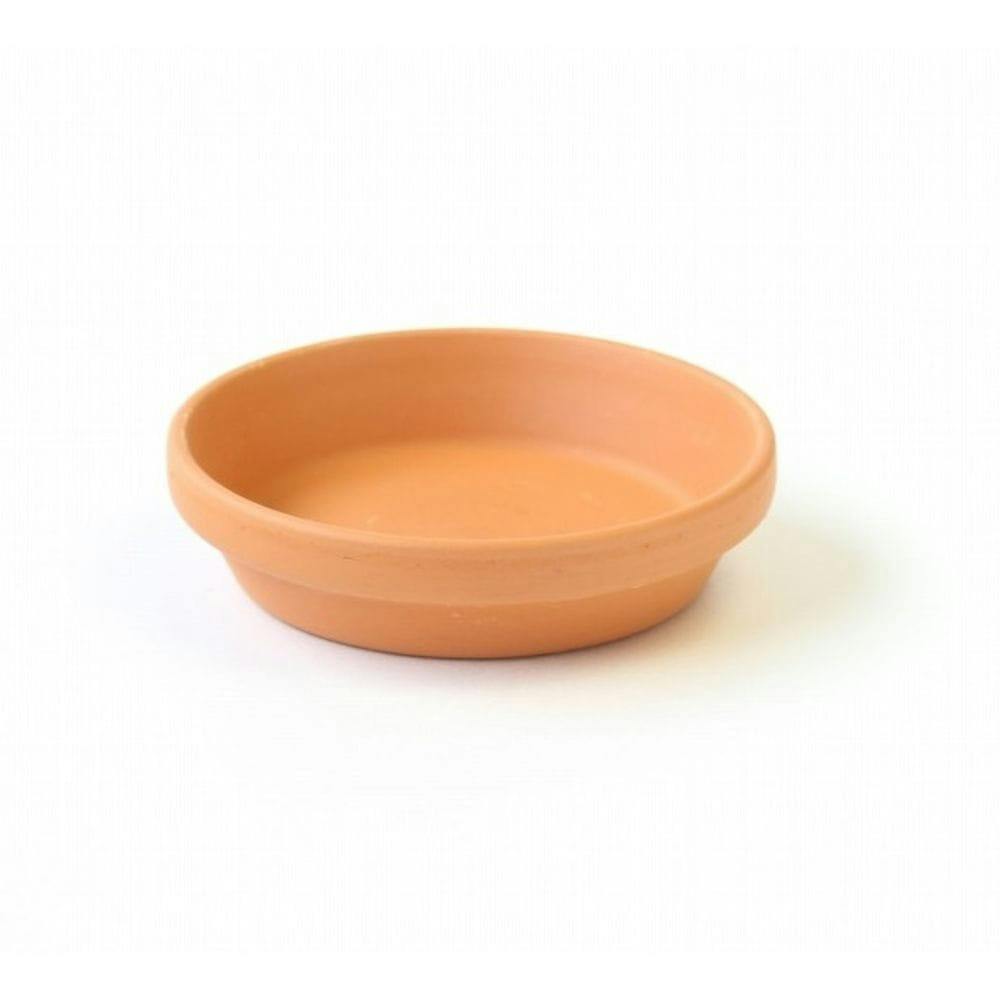 受皿 プティ 6cm