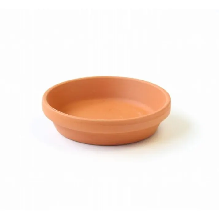 受皿 プティ 9cm