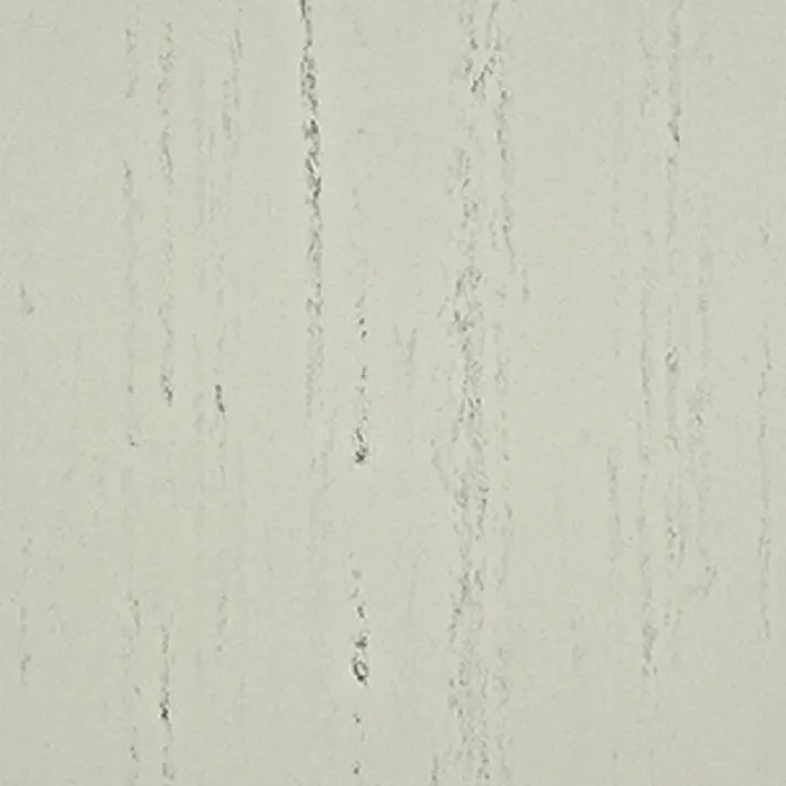 タジマPタイル P-1 ケース50枚