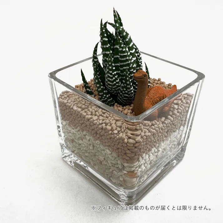 多肉植物ジオラマ ガラスフィギュア1個付き【別送品】(販売終了)
