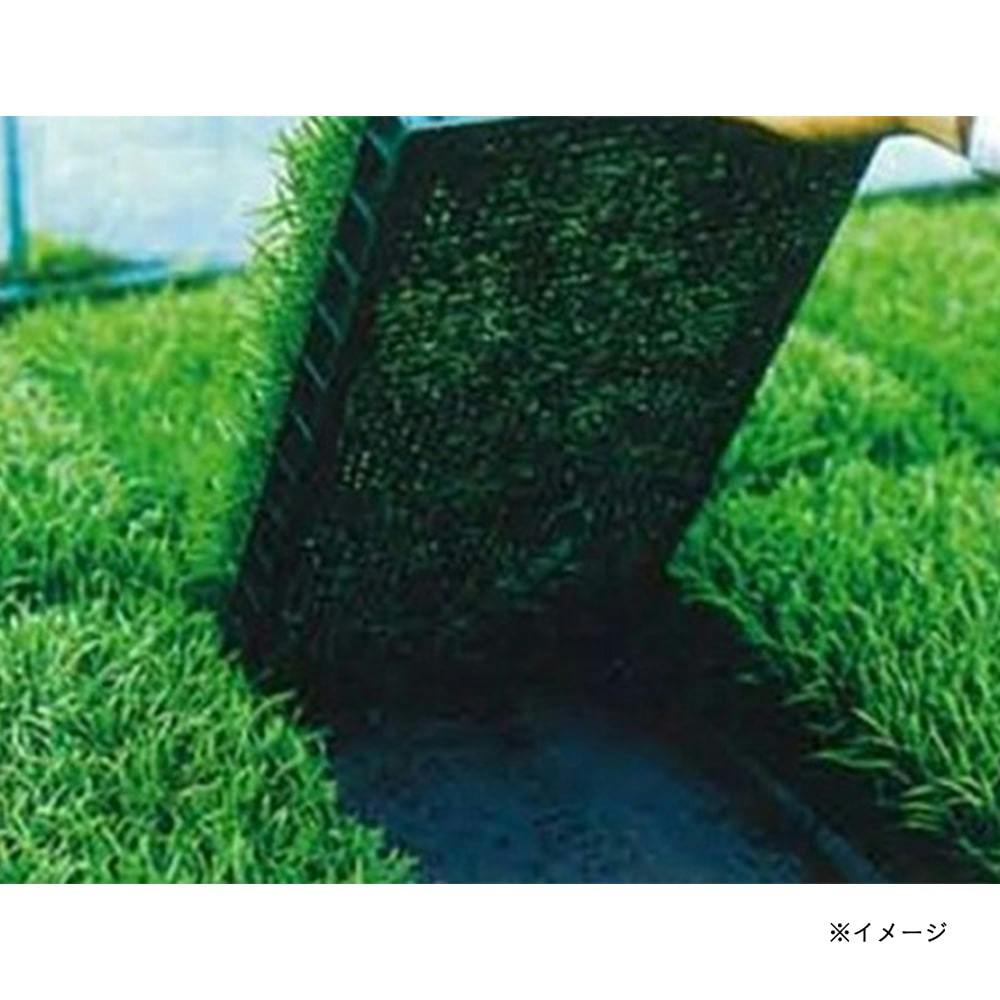 【 専用品です 】 楽天市場】ユニチカ 水稲育苗用 不織布 ラブシート 270cm×100m 2