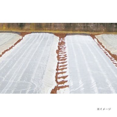 スーパーパスライト 180cm×200m 2本P(販売終了)