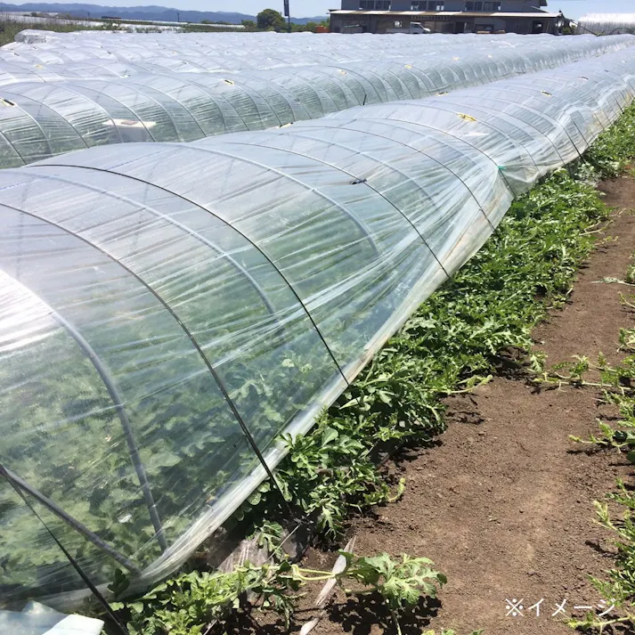 農ポリ 0.1mm×210cm 100m巻