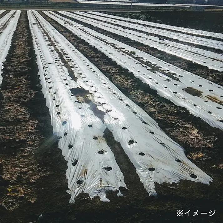 白黒コカゲマルチ0.025×95×200m(販売終了)