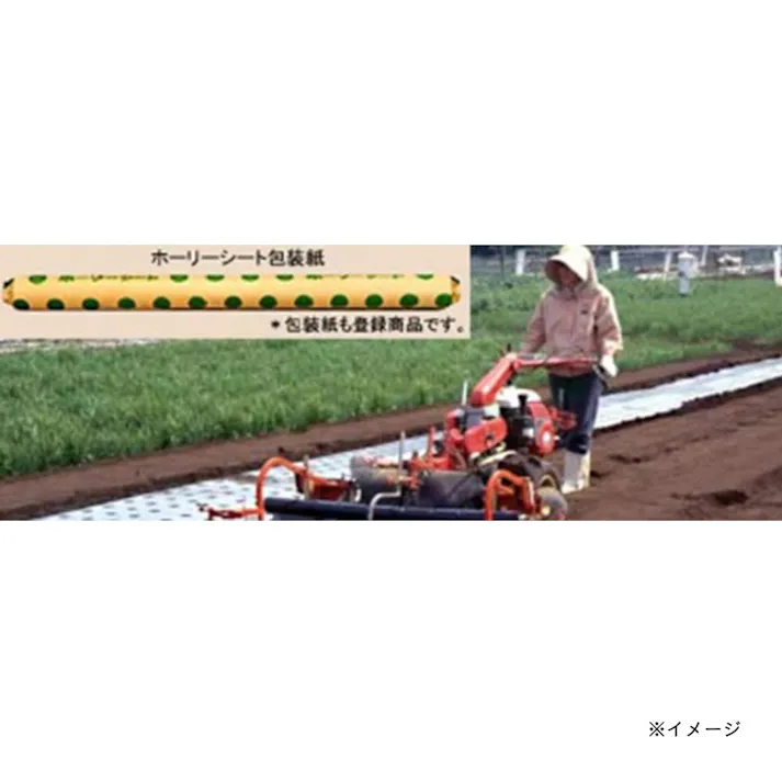 ホーリーシート N9230 60φ チドリ穴 200m 5本P