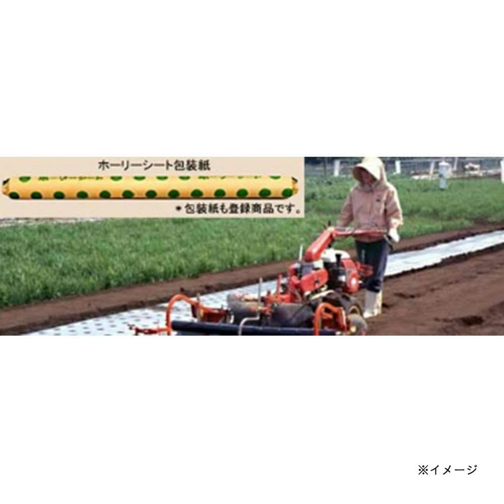 ホーリーシート N9227 60φ チドリ穴 200m 5本P
