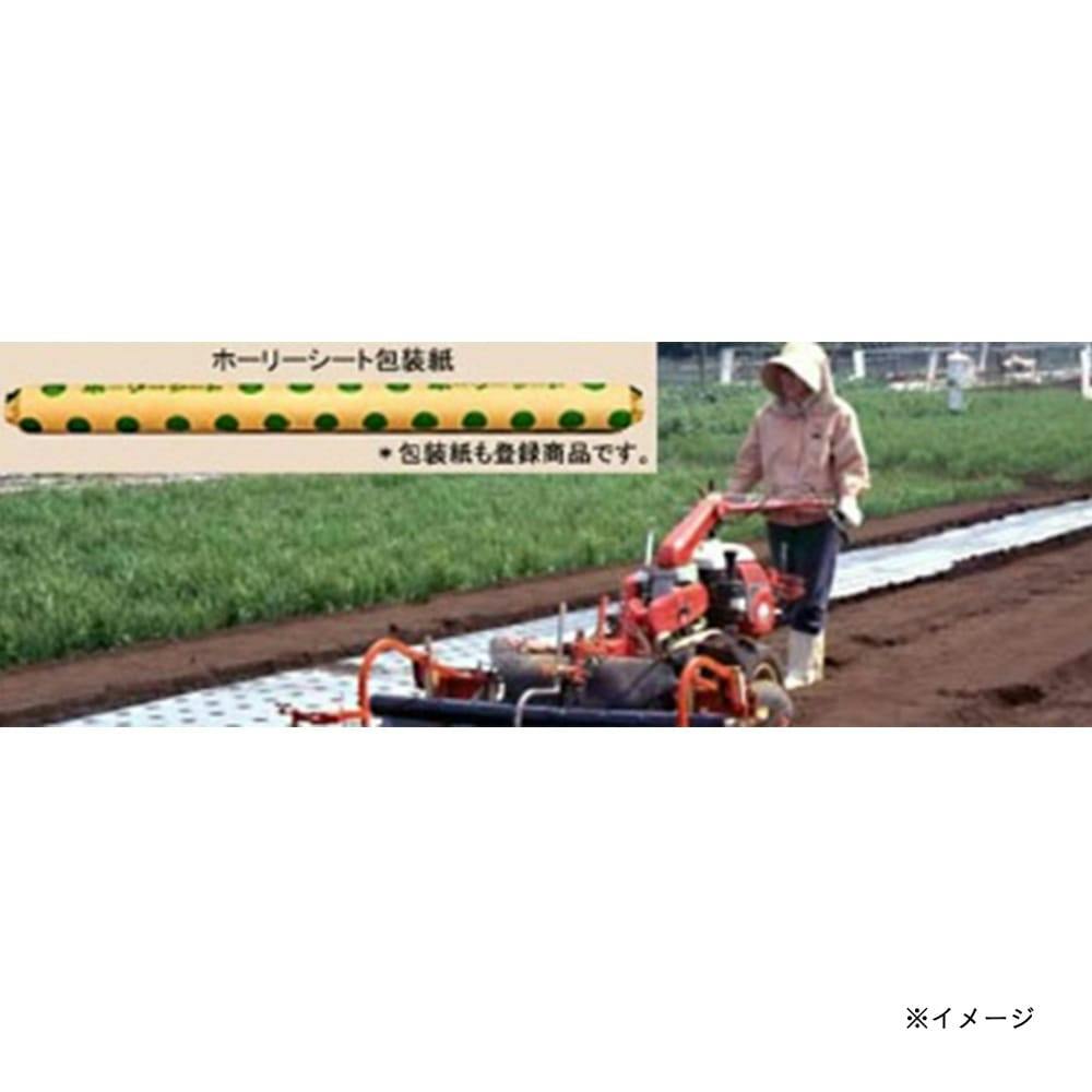 ホーリーシート B9515 60φ 並列穴 200m 5本P | 被覆資材 通販